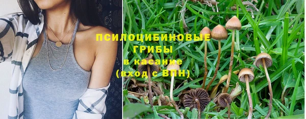 наркотики Гусь-Хрустальный