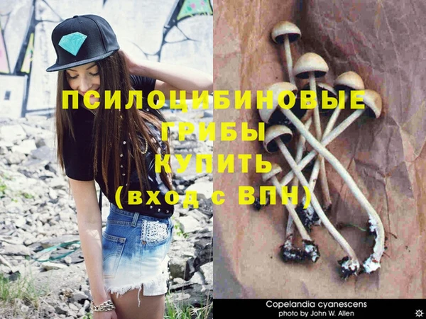 синтетический гашиш Гусиноозёрск