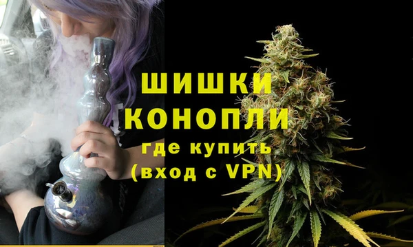 mdpv Гусев