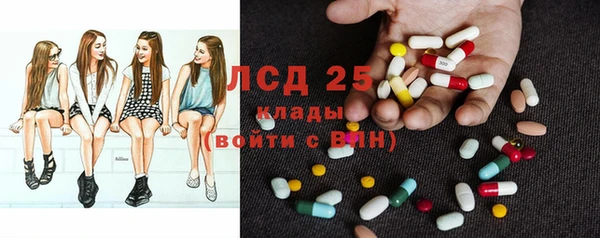mdpv Гусев
