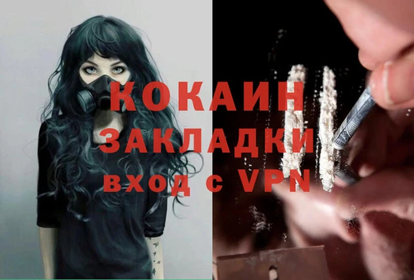 mdpv Гусев