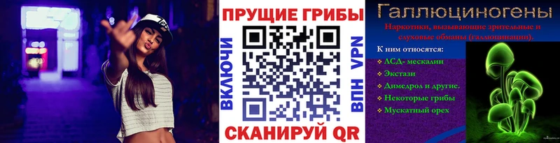 даркнет сайт  Иланский  blacksprut зеркало  Псилоцибиновые грибы мицелий 